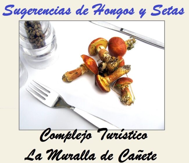 Restaurante en la Sierra de Cuenca