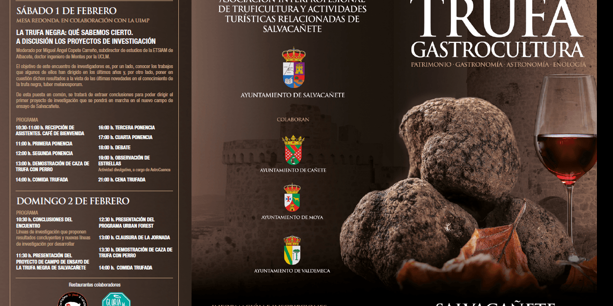 Menú degustación trufa Cañete