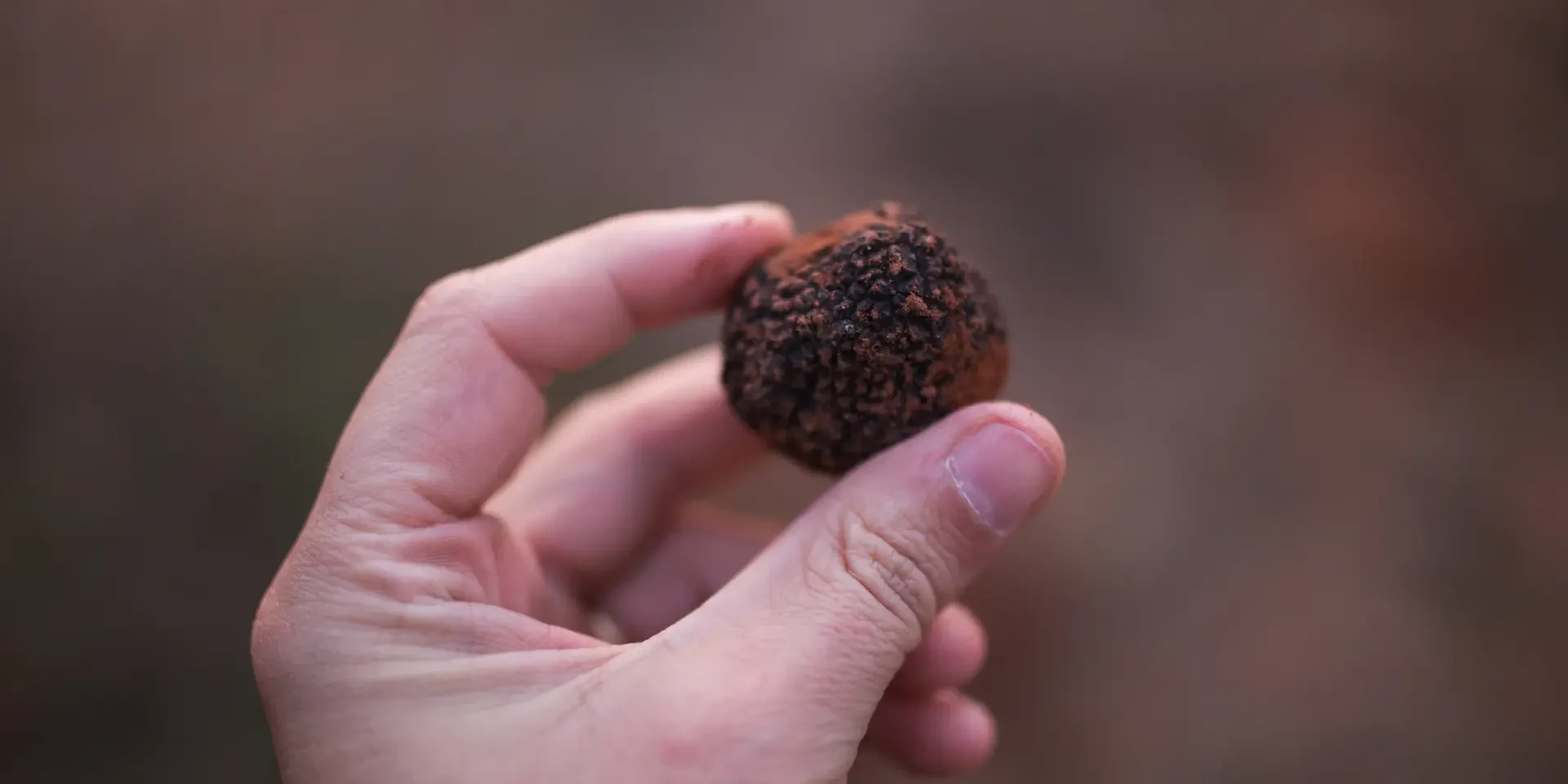 dia de la gastronomia sostenible Día de la gastronomía sostenible