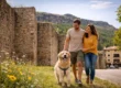 Alojamiento Pet Friendly en Cuenca La Escapada Perfecta para Disfrutar con tu Mascota en Cañete